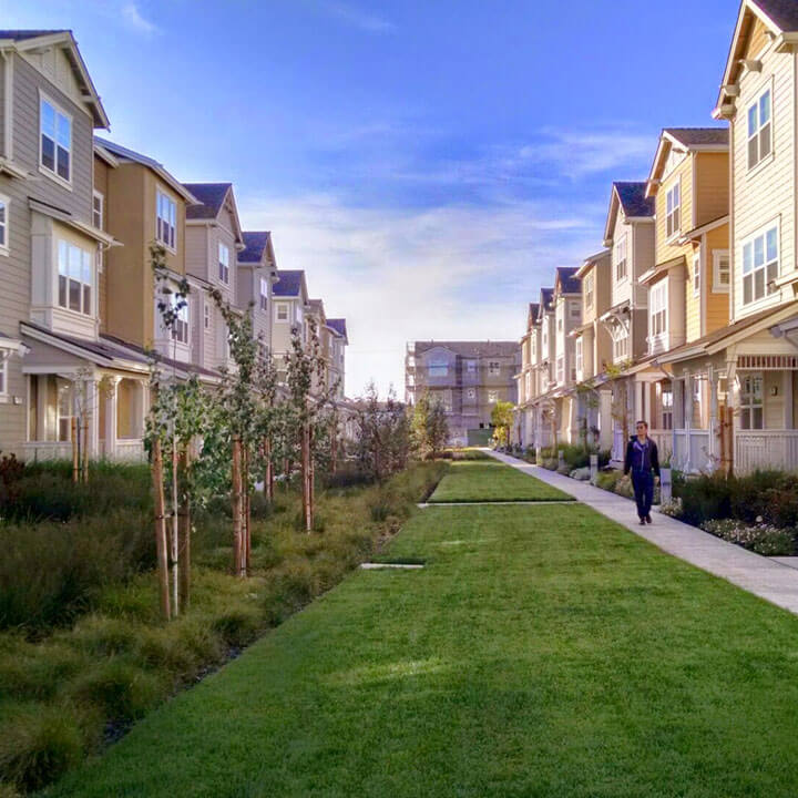 septic tank texas cities 
      zip batch